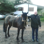 Sergio Dametto e cavalo da raça crioula de Elias Dametto.